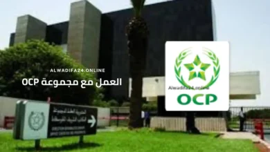 الدليل الشامل للتقديم التلقائي في مجموعة OCP