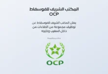 دليل شامل للتقديم التلقائي في مجموعة OCP